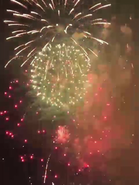 Castillo de fuegos artificiales de las Fiestas de Agosto de Elche