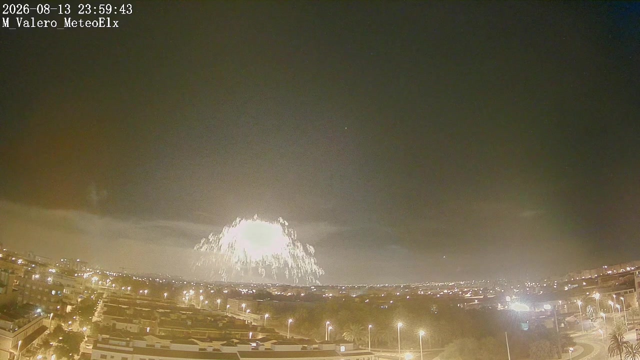 La Palmera de la Mare de Déu durant les Festes d’Agost d’Elx 2026