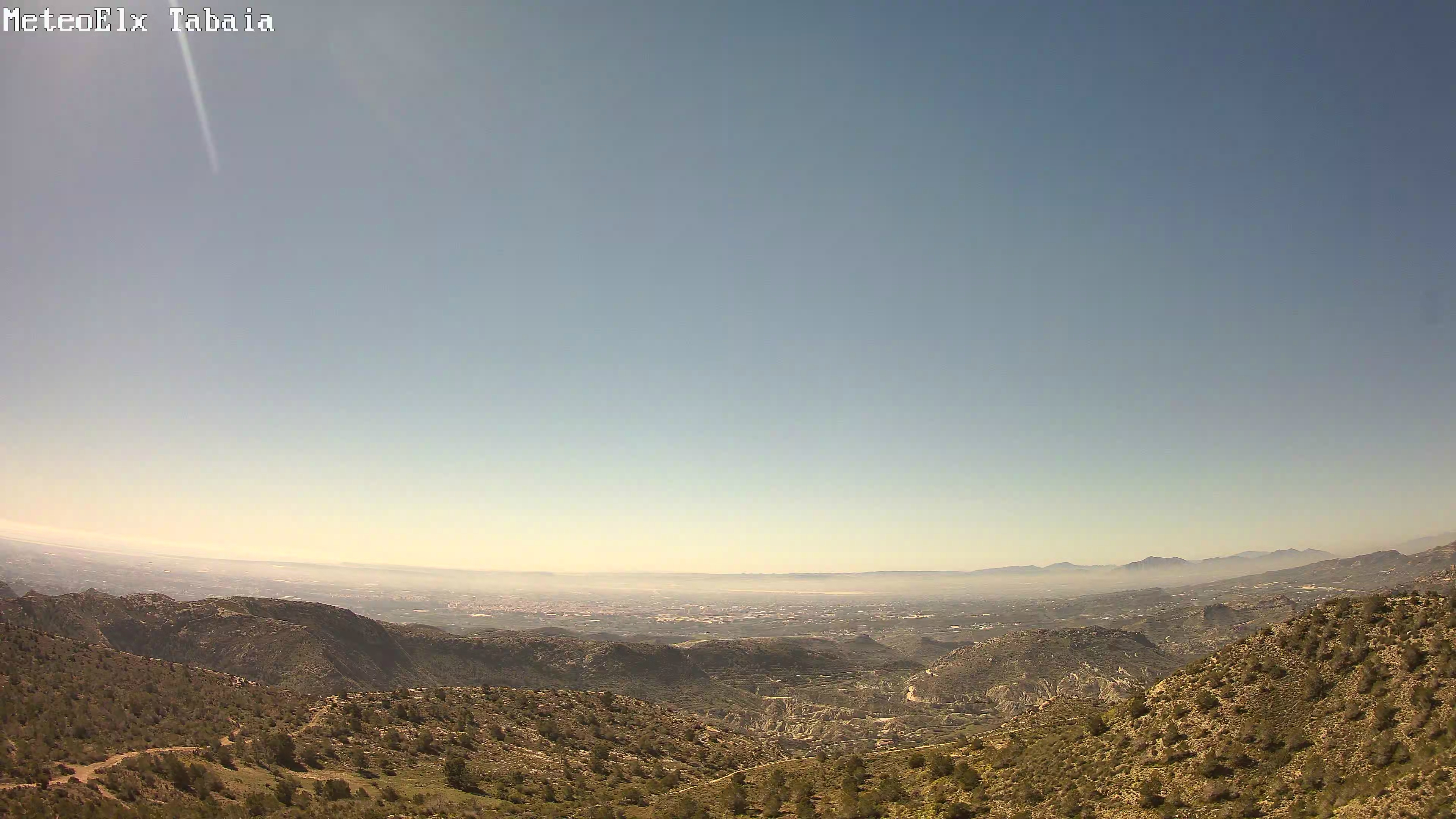 Boirines al Sud del Camp d'Elx